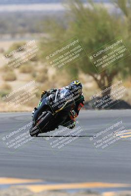 media/May-14-2023-SoCal Trackdays (Sun) [[024eb53b40]]/Turn 5 Tree of Life (1125am)/